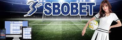 Agen Bola Terpercaya dan Cara Memilihnya 213638829 Agen Bola Terpercaya dan Cara Memilihnya 213638829